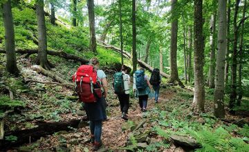 FOTO: Poloniny ako terapia? Kraj spája prírodu a zdravie