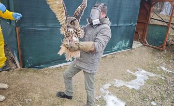 FOTO: V obci pri Prešove bola potvrdená vtáčia chrípka