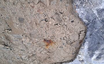 FOTO: Most na Levočskej sa podľa ľudí po 6 rokoch začína rozpadať