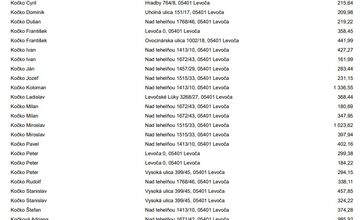 FOTO: Levoča zverejnila dlžníkov. Peniaze dlžia aj firmy