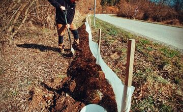 FOTO: V tomto období začínajú žaby svoju púť za rozmnožovaním