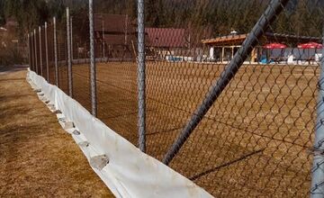 FOTO: V tomto období začínajú žaby svoju púť za rozmnožovaním