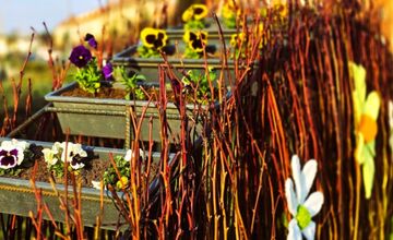 FOTO: Humenné rozkvitlo do Veľkej noci. Zajačiky, vajíčka aj farby