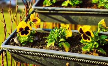 FOTO: Humenné rozkvitlo do Veľkej noci. Zajačiky, vajíčka aj farby