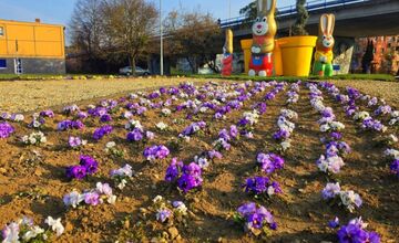 FOTO: Humenné rozkvitlo do Veľkej noci. Zajačiky, vajíčka aj farby