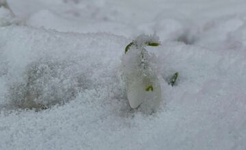 VIDEO: Vo viacerých oblastiach Prešovského kraja od rána sneží