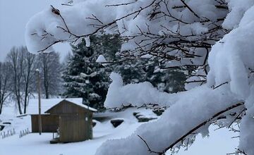 VIDEO: Vo viacerých oblastiach Prešovského kraja od rána sneží