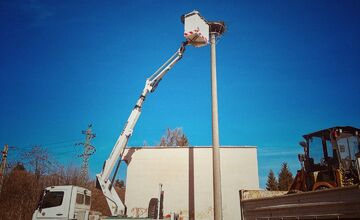 FOTO: Bociany prekvapili skorým návratom, hniezda už boli pripravené