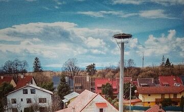 FOTO: Bociany prekvapili skorým návratom, hniezda už boli pripravené