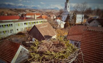 FOTO: Bociany prekvapili skorým návratom, hniezda už boli pripravené