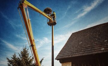 FOTO: Bociany prekvapili skorým návratom, hniezda už boli pripravené