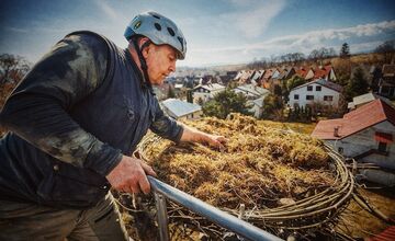 FOTO: Bociany prekvapili skorým návratom, hniezda už boli pripravené