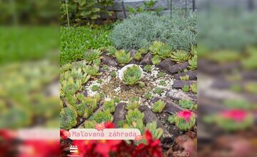 FOTO: Prešov hľadá najkrajšiu predzáhradku, hrá sa o peniaze