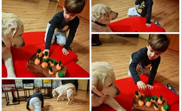 FOTO: Päťročnému Miškovi z okresu Sabinov bol diagnostikovaný detský autizmus