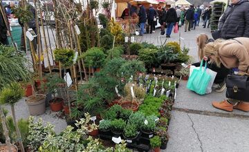 VIDEO: Prešovčania, pripravte sa, veľtrh Záhrada sa vracia