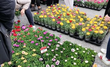 VIDEO: Prešovčania, pripravte sa, veľtrh Záhrada sa vracia