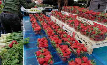 VIDEO: Prešovčania, pripravte sa, veľtrh Záhrada sa vracia