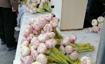 VIDEO: Prešovčania, pripravte sa, veľtrh Záhrada sa vracia