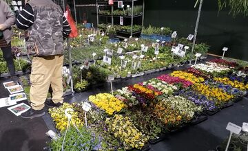 VIDEO: Prešovčania, pripravte sa, veľtrh Záhrada sa vracia