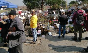 VIDEO: Prešovčania, pripravte sa, veľtrh Záhrada sa vracia