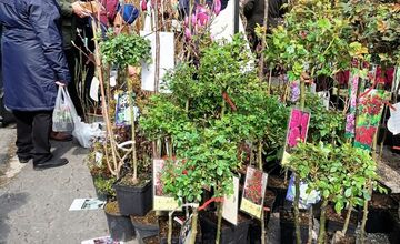 VIDEO: Prešovčania, pripravte sa, veľtrh Záhrada sa vracia