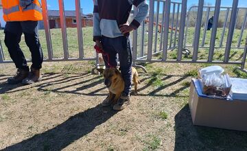 FOTO: V ďalších osadách na východe Slovenska prebehla kastrácia psov