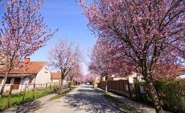 FOTO: Gorkého ulica v Prešove opäť pripomína rozprávku