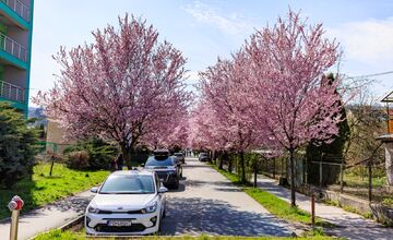 FOTO: Gorkého ulica v Prešove opäť pripomína rozprávku