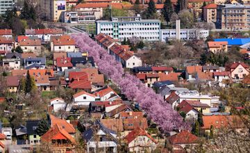 FOTO: Gorkého ulica v Prešove opäť pripomína rozprávku