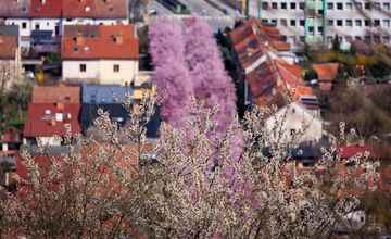 FOTO: Gorkého ulica v Prešove opäť pripomína rozprávku