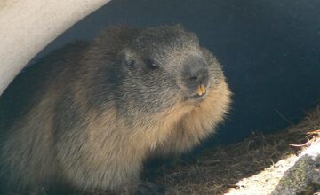 FOTO: V Tatrách končí skialpinistická sezóna