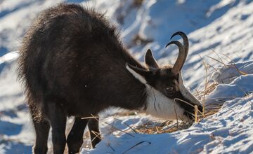 FOTO: V Tatrách končí skialpinistická sezóna