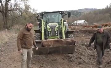 FOTO: Zubríča Mirka putovala od stáda kráv do ZOO v Bojniciach 