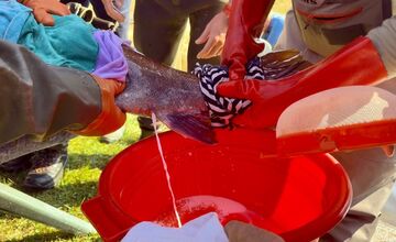 FOTO: Nová generácia kráľovnej riek je na svete