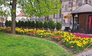 FOTO: Prešovčanom vyráža dych nádherná kvetinová výzdoba v Košiciach. Chceli by niečo podobné